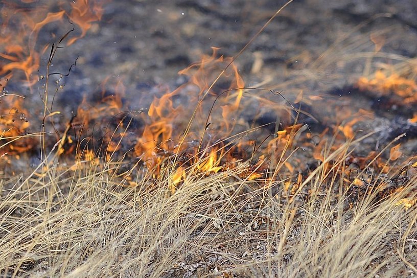 О предупреждении случаев возникновения выжигания сухой растительности
