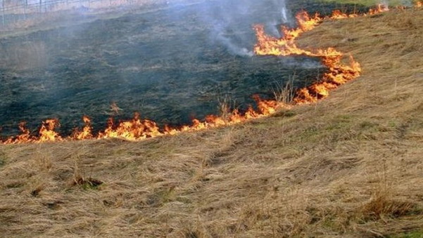 Батайчане, помните о соблюдении правил пожарной безопасности! Батайчане, помните о соблюдении правил пожарной безопасности!