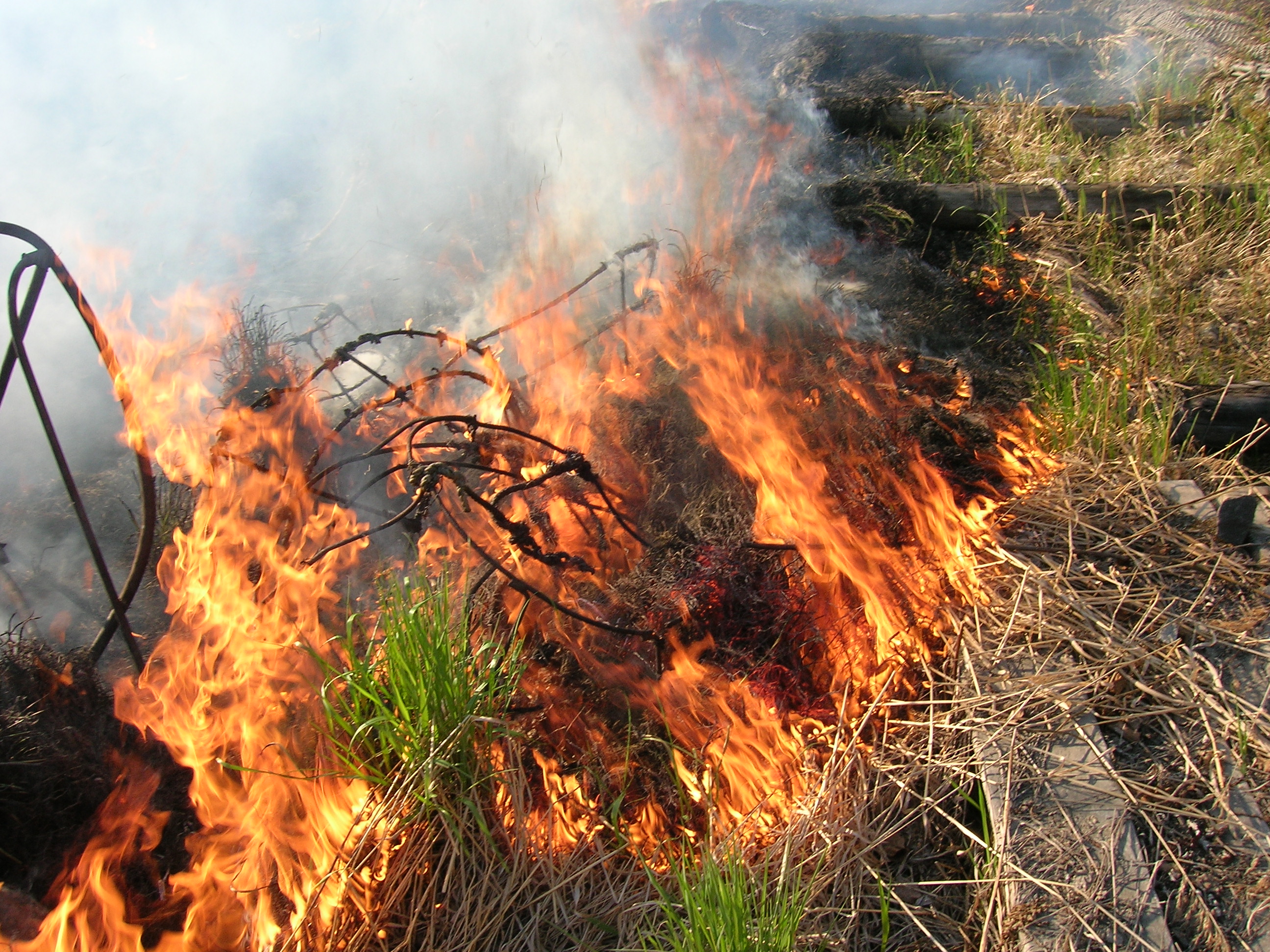 В Ростовской области сохраняется чрезвычайная пожароопасность