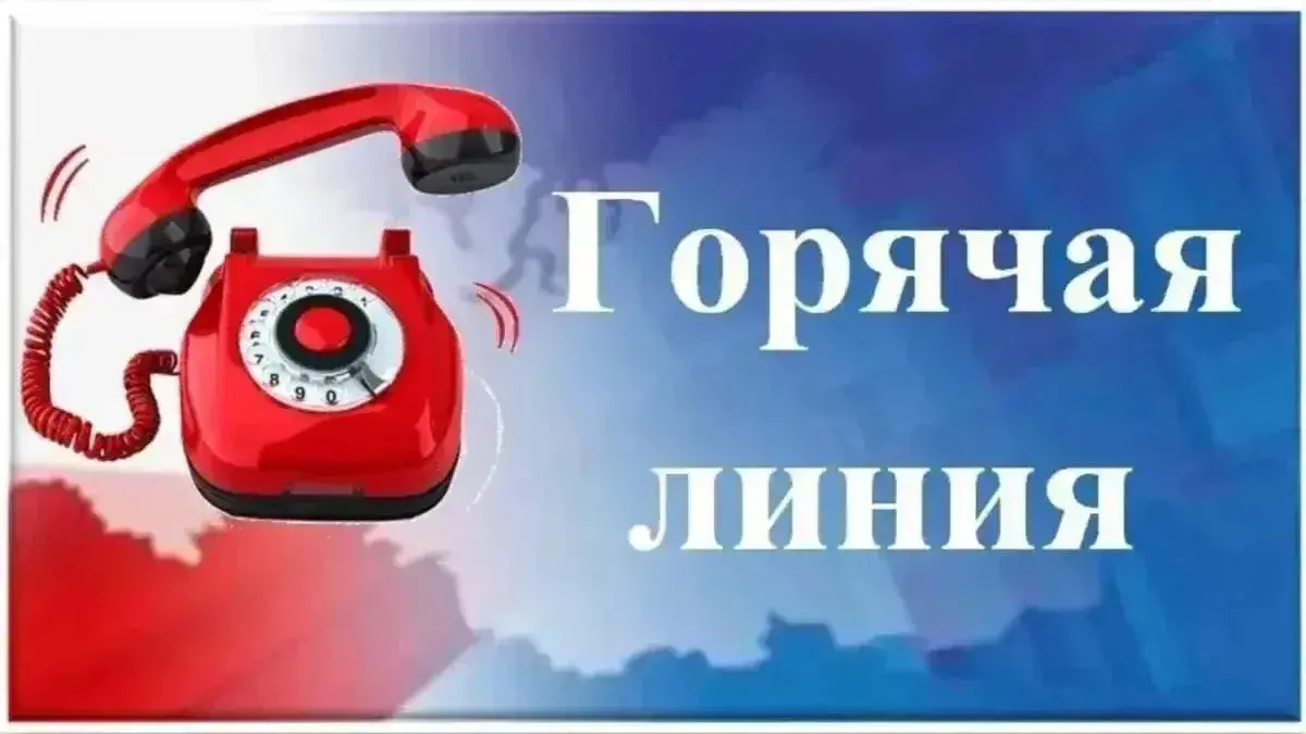 По вопросам профилактики энтеровирусной инфекции открыта горячая линия