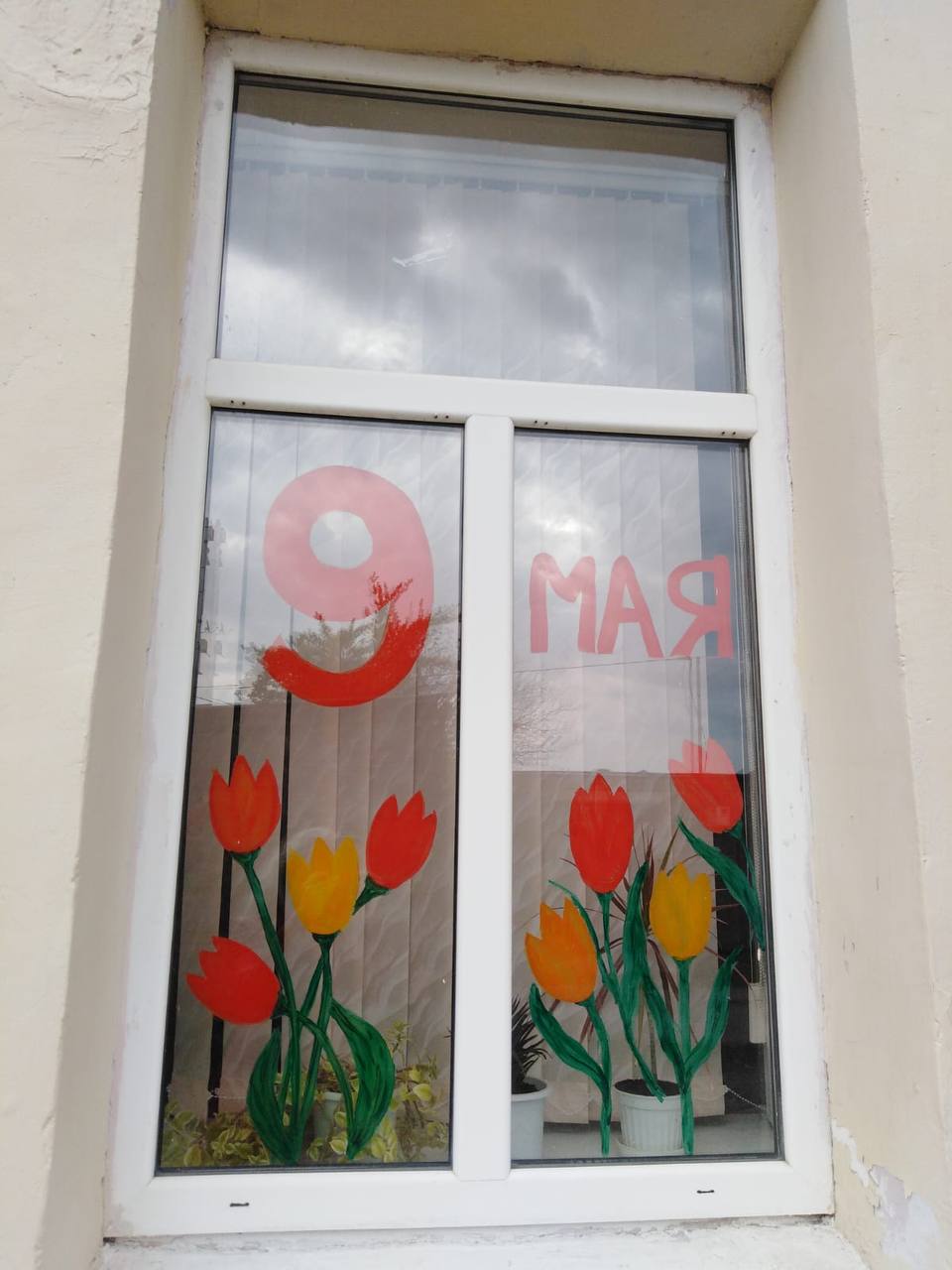 Батайчане до 31 мая могут принять участие в акции «Окна Победы»