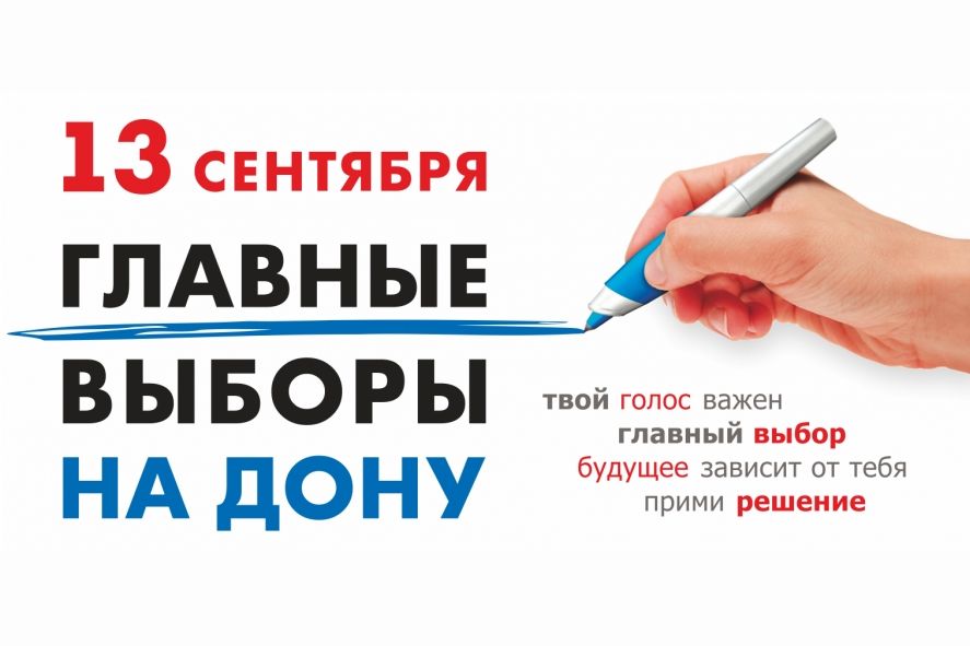 Прозрачность процедуры голосования на Дону обеспечат более 2,5 тысячи общественных наблюдателей