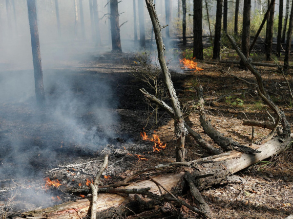 В Ростовской области ожидается чрезвычайная пожароопасность