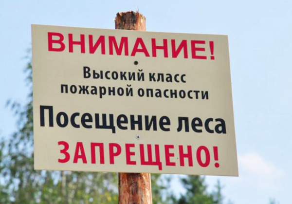 В Ростовской области действует режим ограничения пребывания граждан в лесах