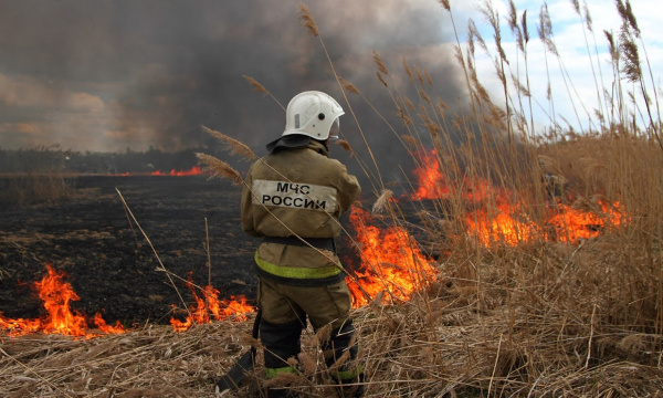 В Батайске ожидается высокая пожароопасность