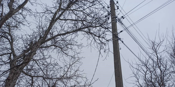 В Батайске в Донской Чаше продолжается выявление потребителей, которые незаконно подключены к электросетям