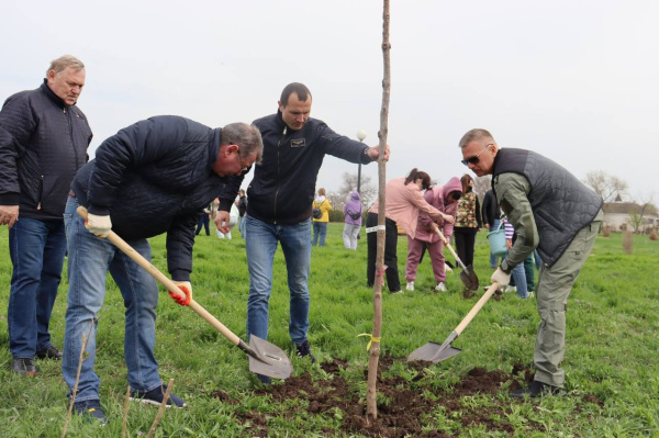 В Батайске прошёл областной День древонасаждений
